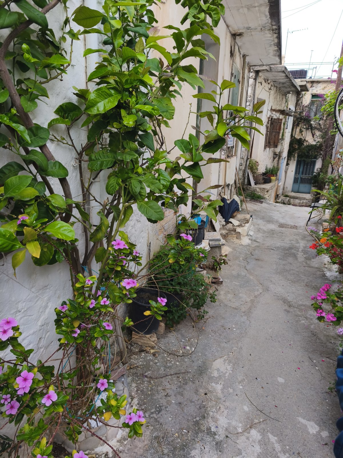 Property 1