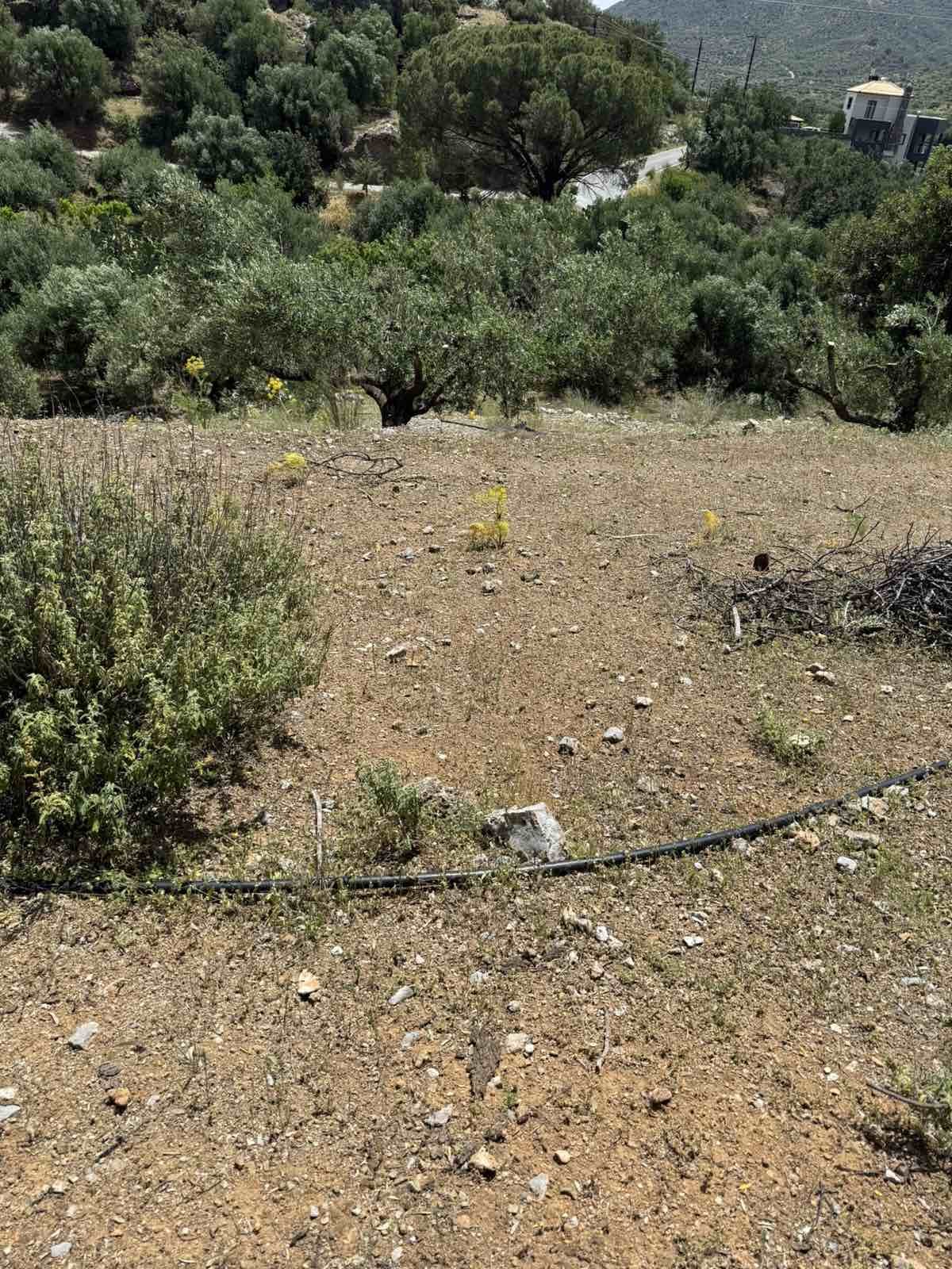 Property 2