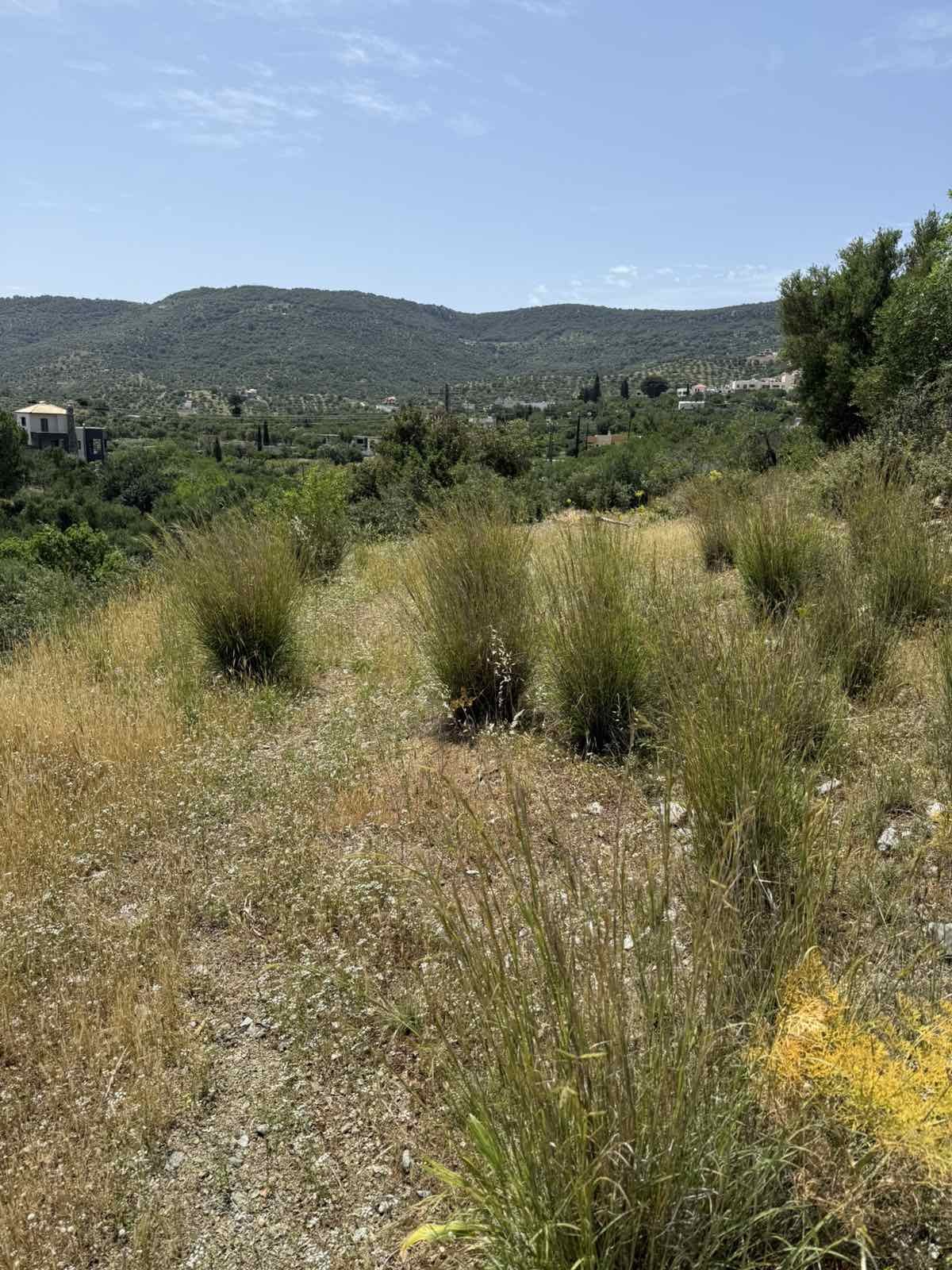 Property 8