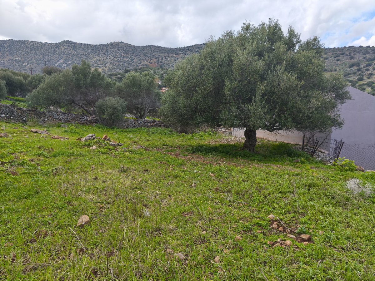 Property 4