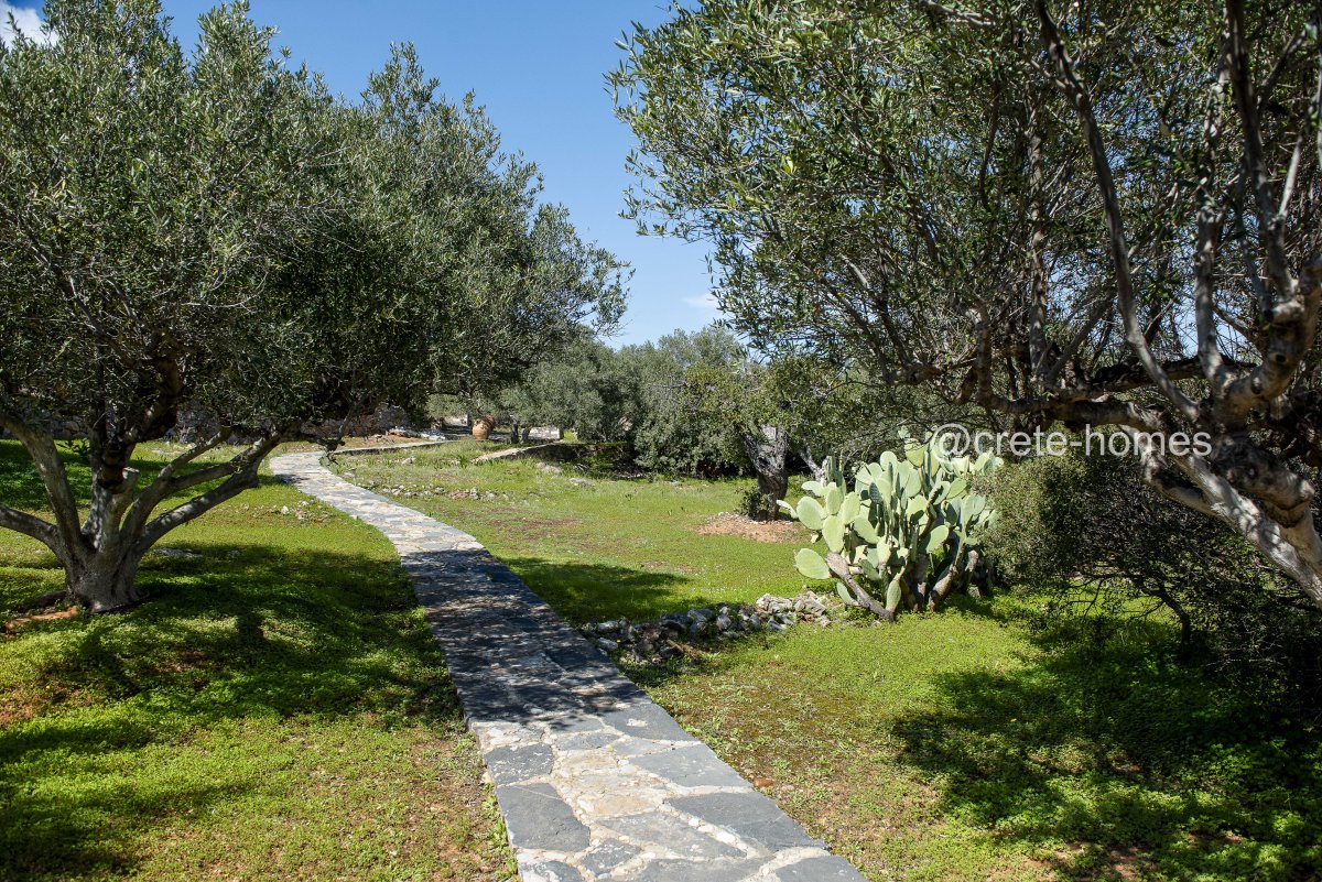 Property 32