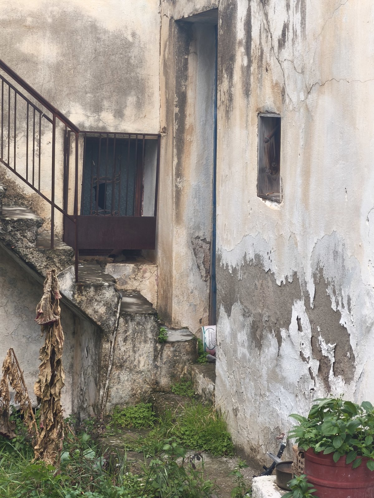 Property 19