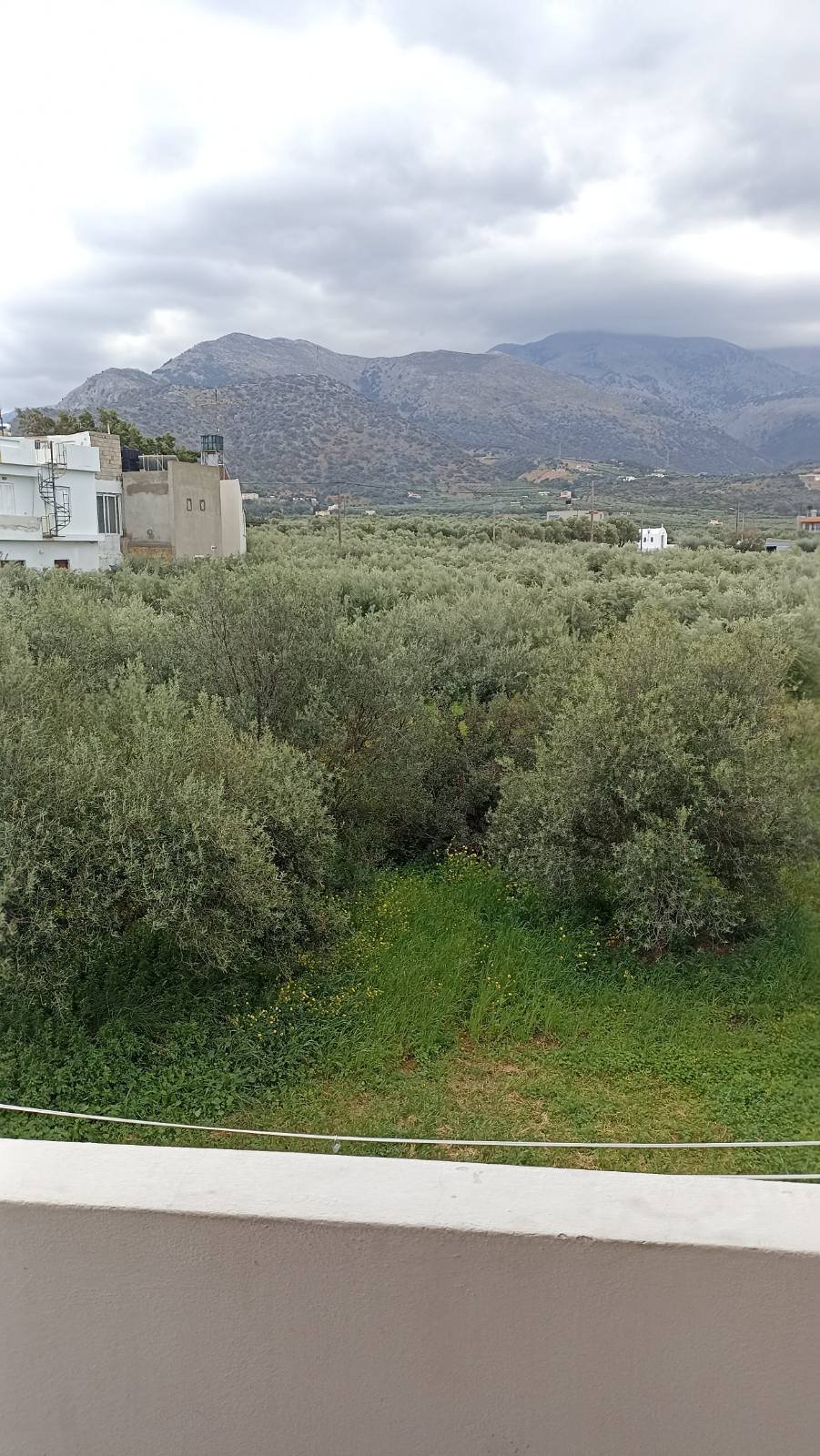 Property 27