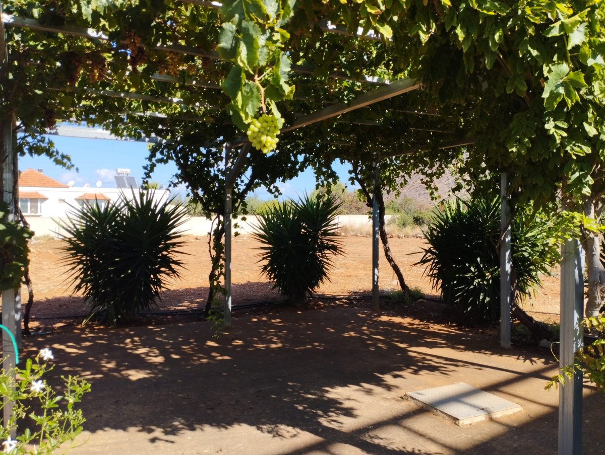 Property 29