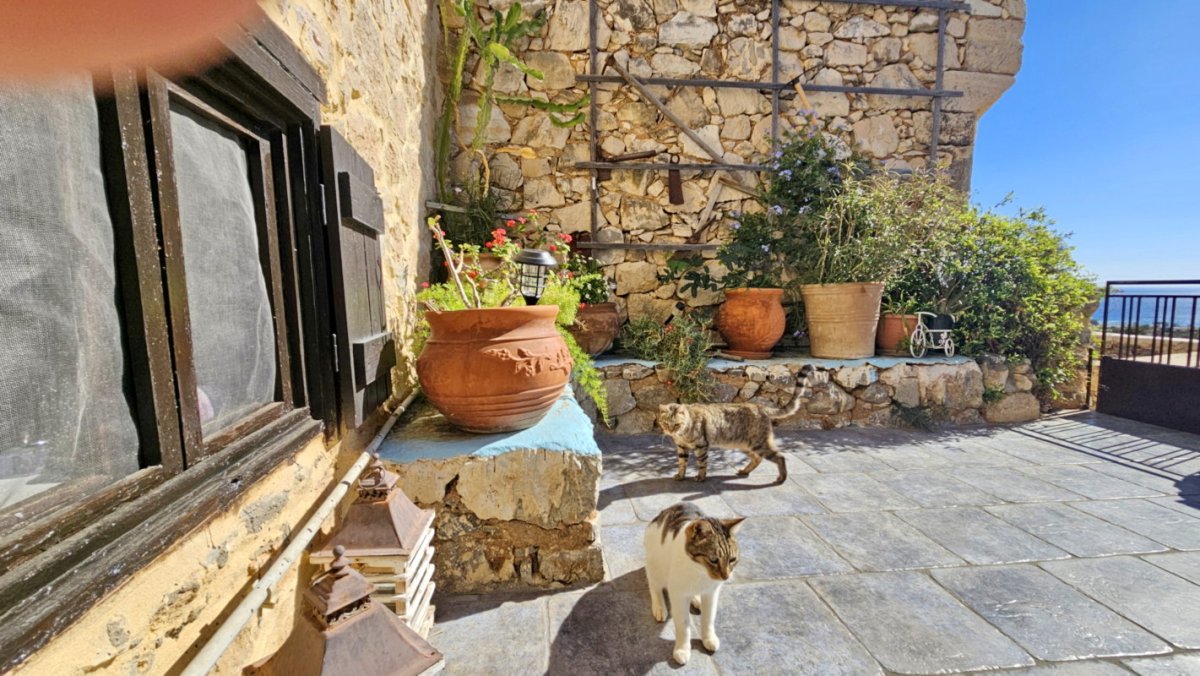 Property 21