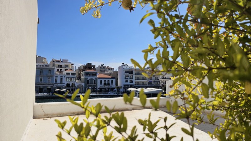 Property 39