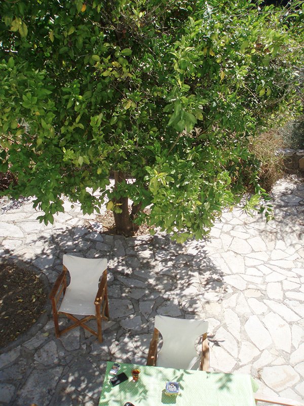 Property 4