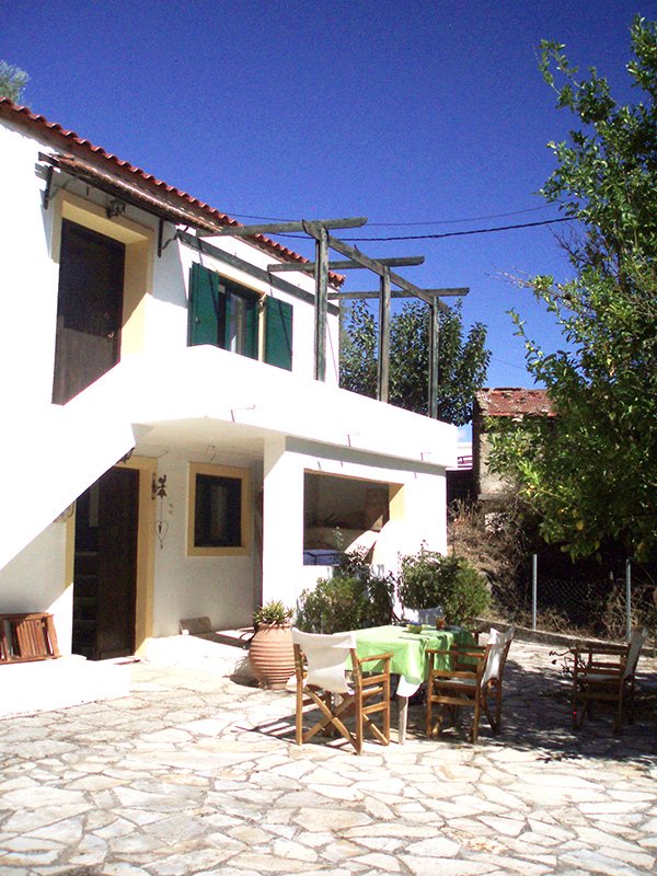 Property 31