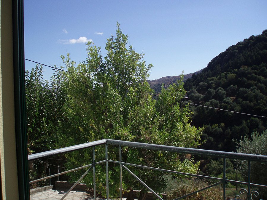 Property 35
