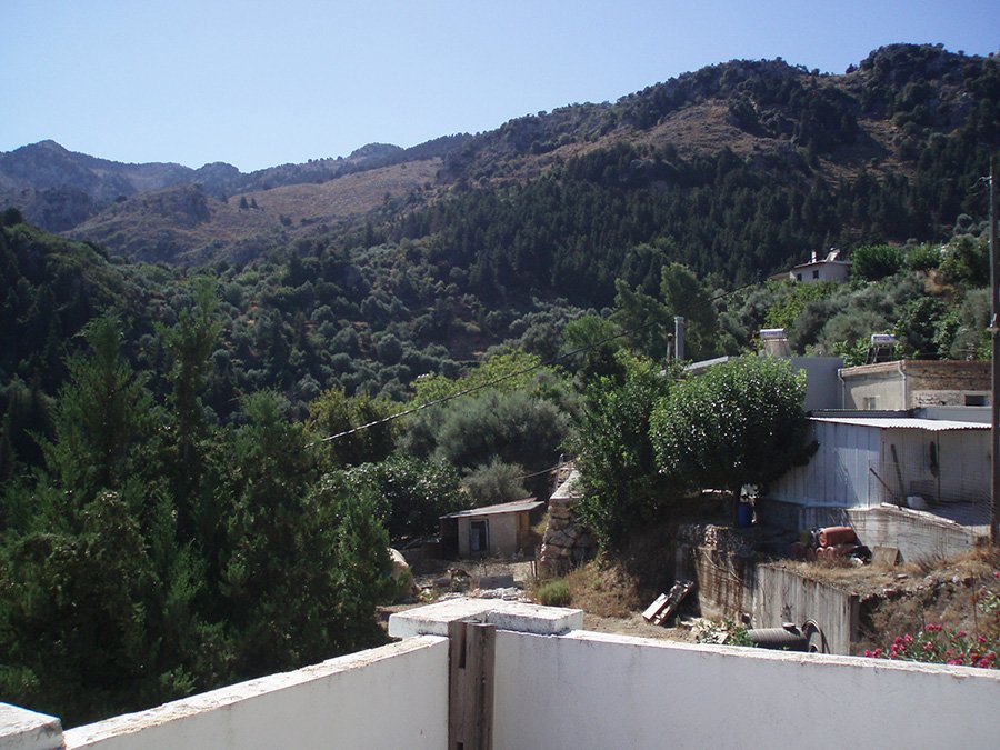 Property 36