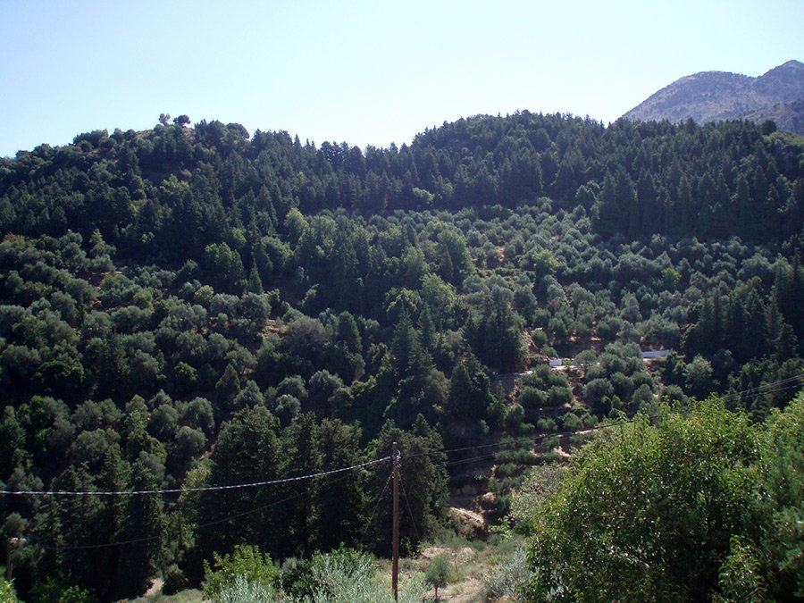 Property 37