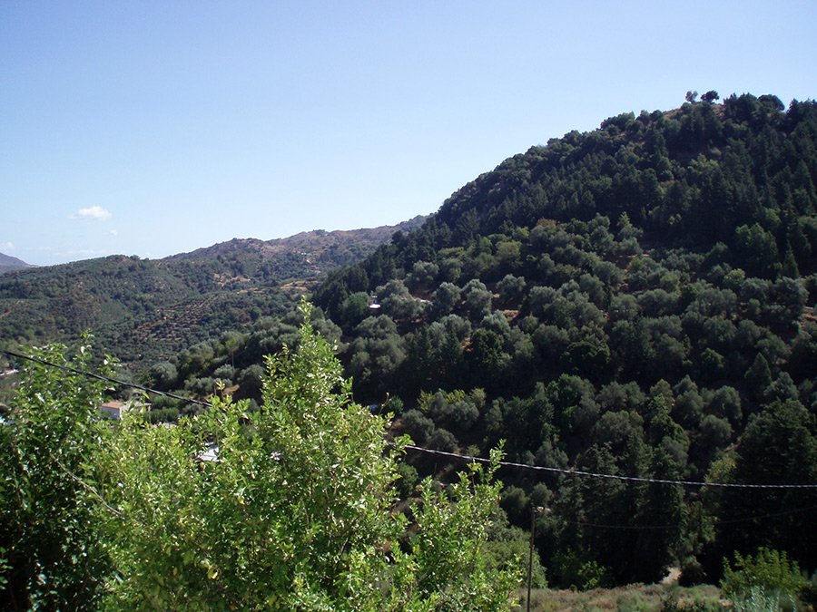 Property 38