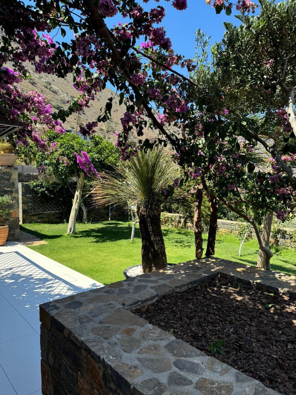 Property 23