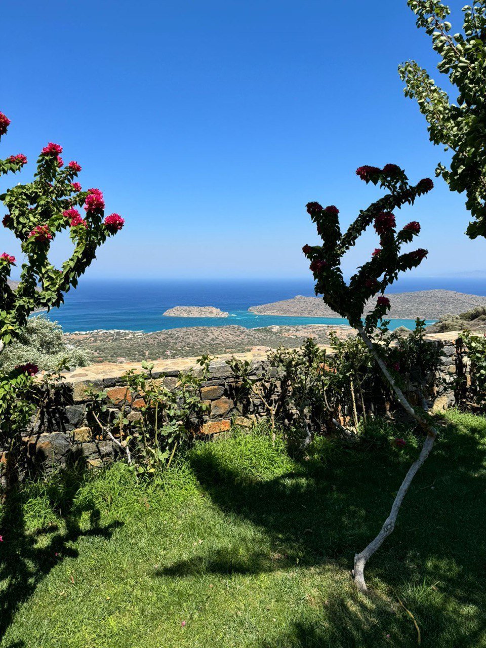 Property 26