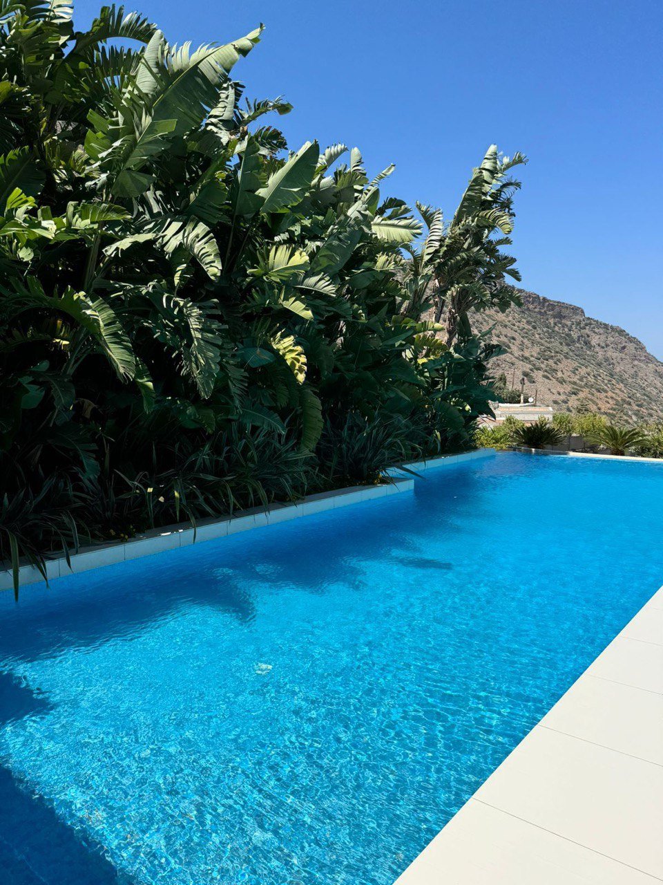 Property 28