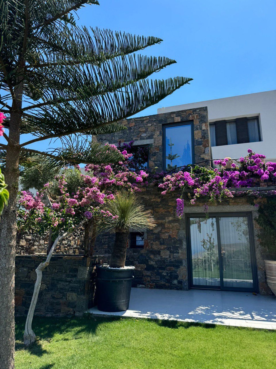 Property 29