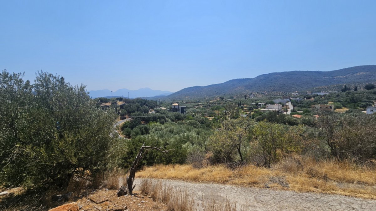 Property 4