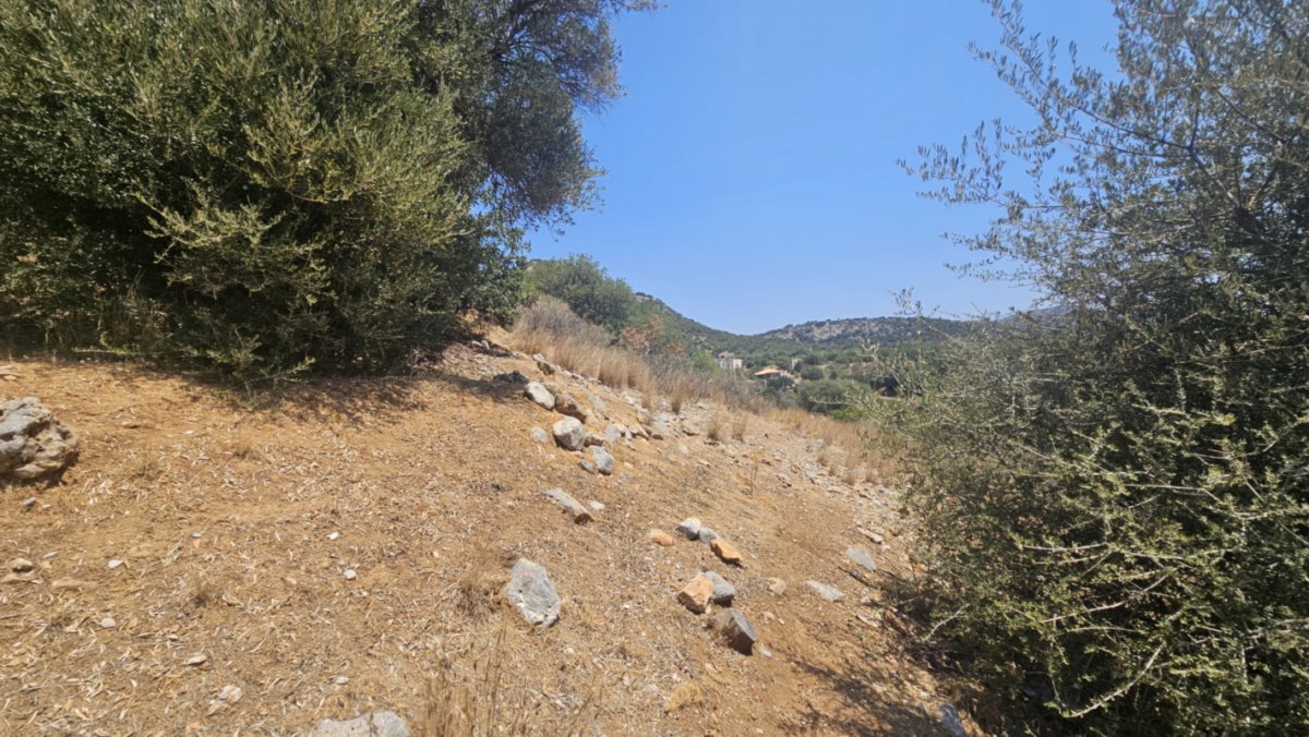 Property 6