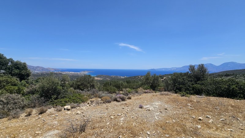 Property 21