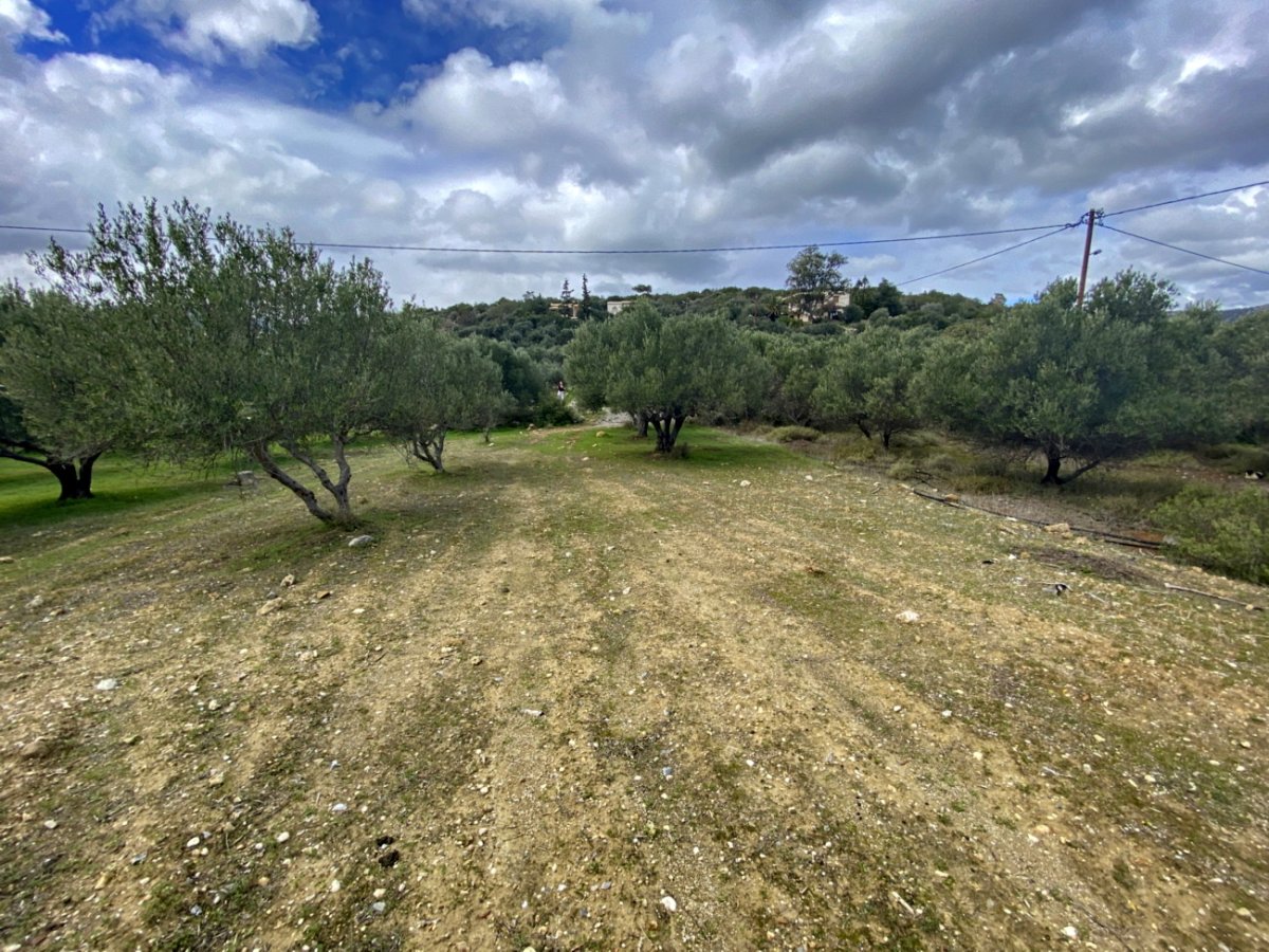 Property 3