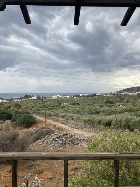 Property 29