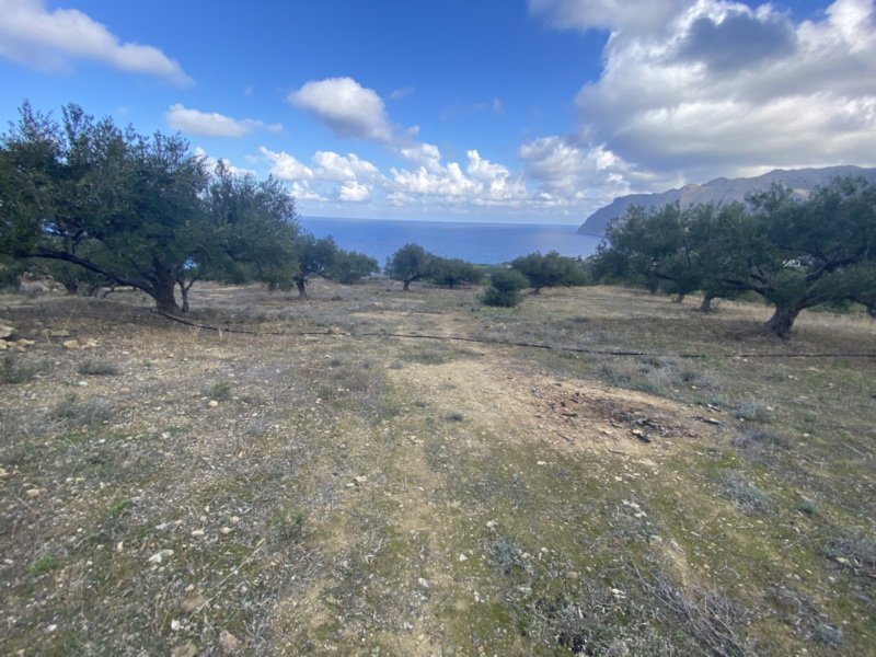 Property 2