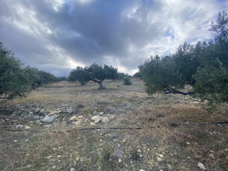 Property 8