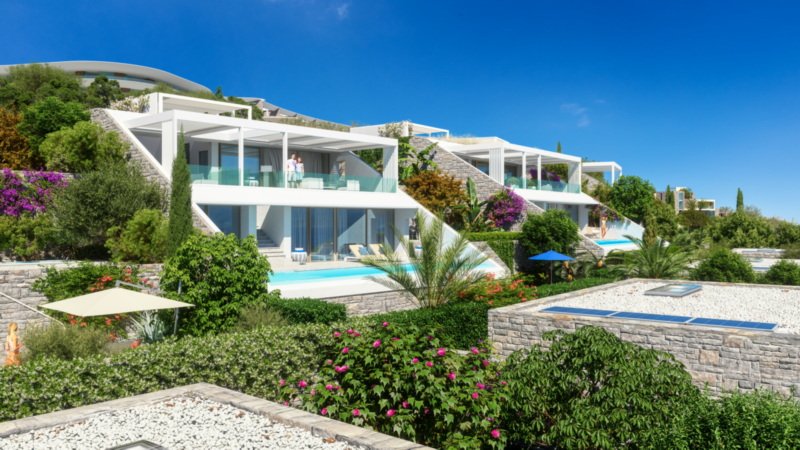 Property 31