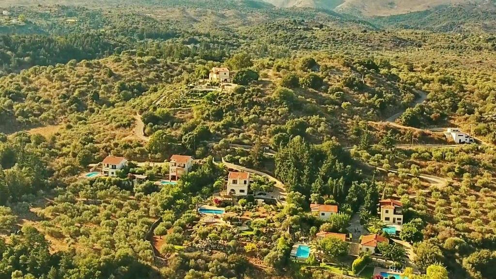 Property 24