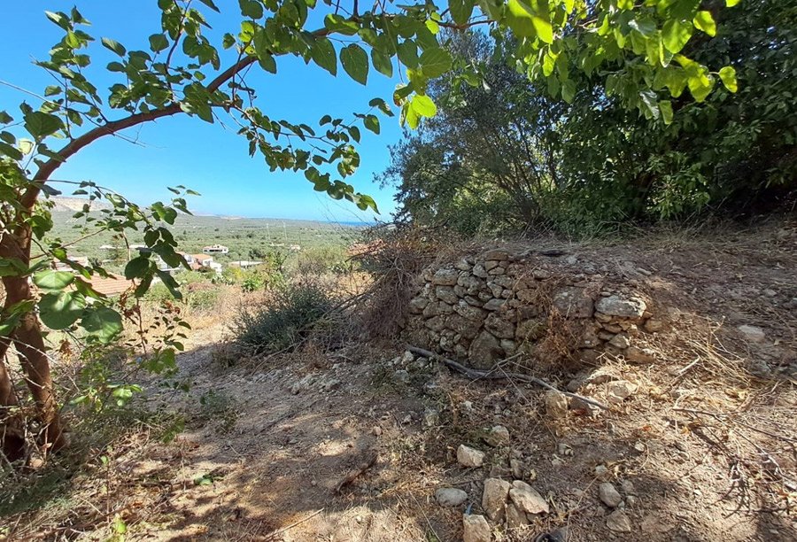 Property 20