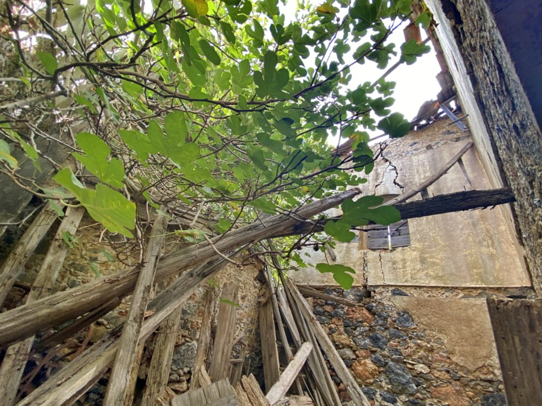 Property 25