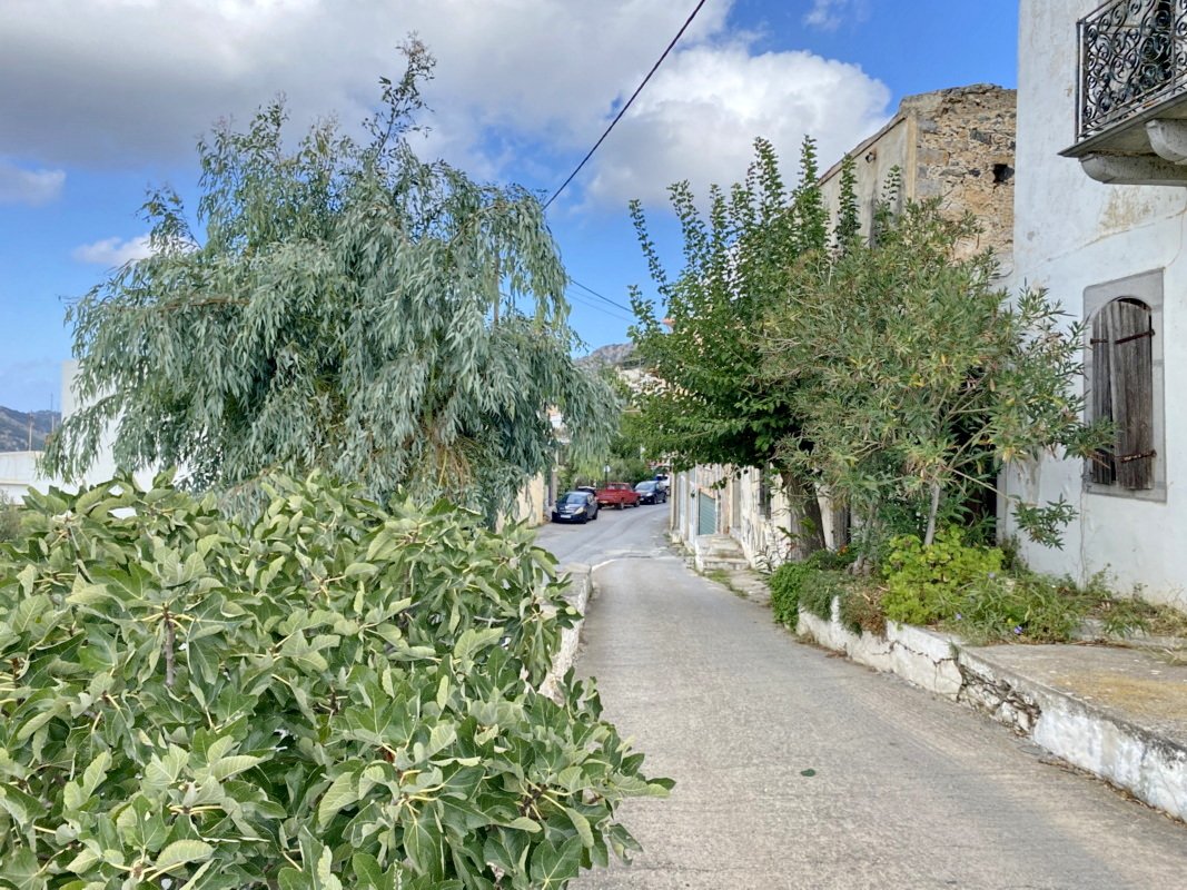 Property 39