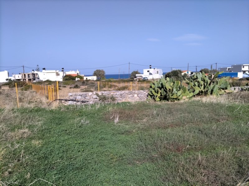 Property 1