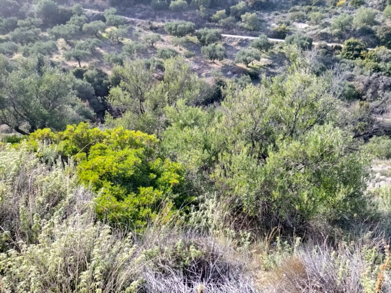 Property 8