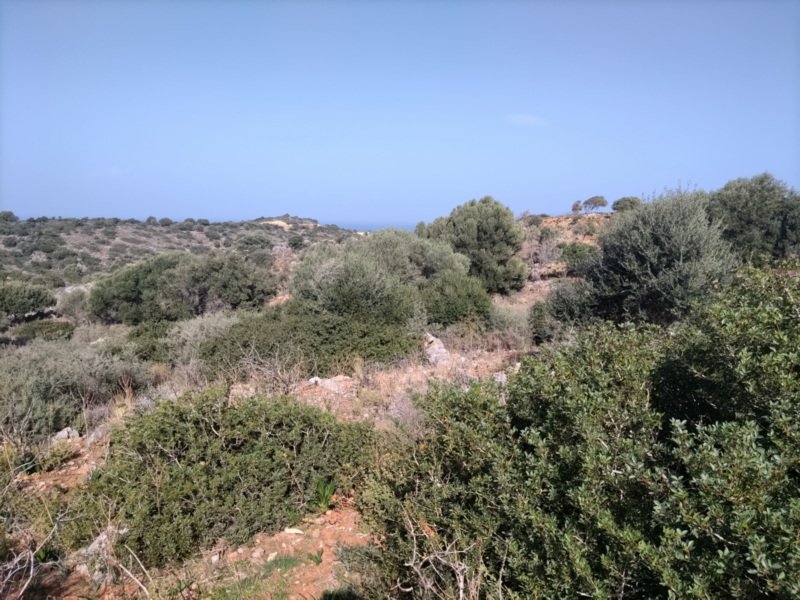 Property 2