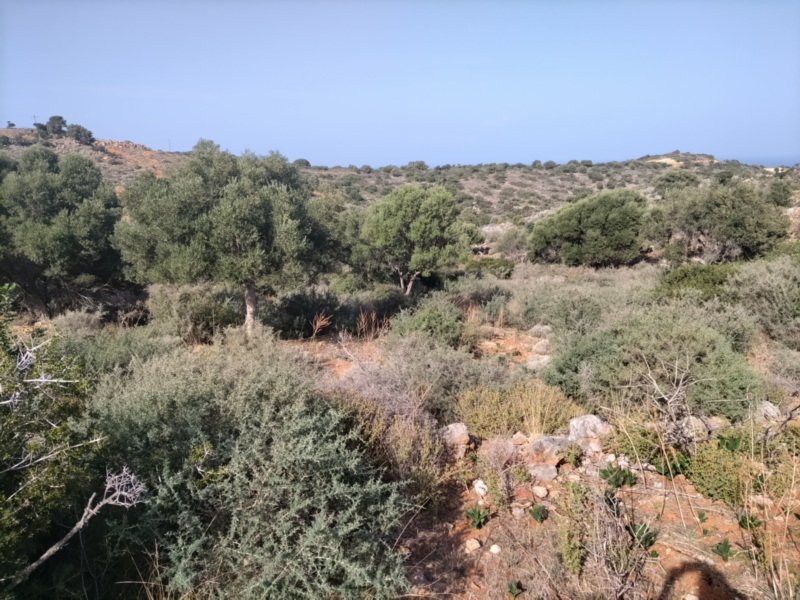 Property 4