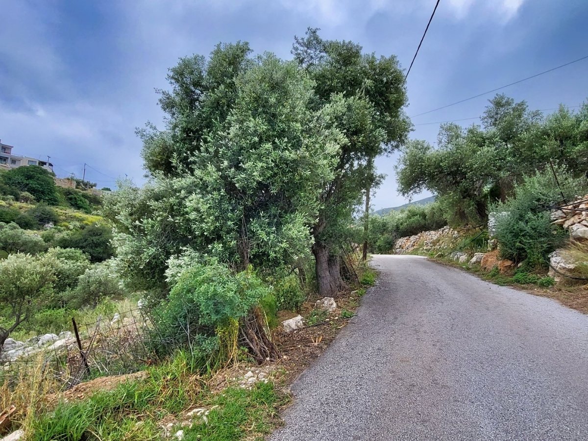 Property 5