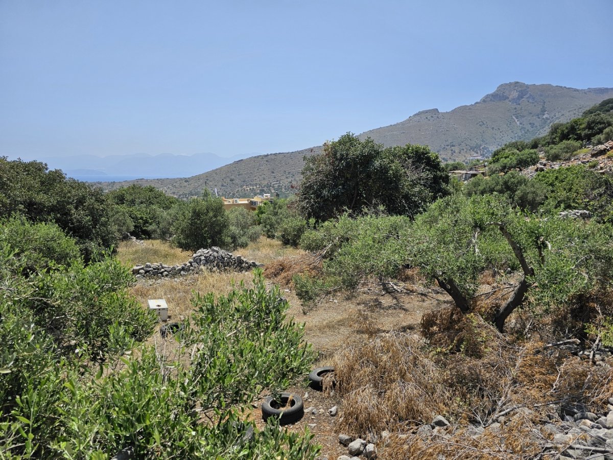 Property 5