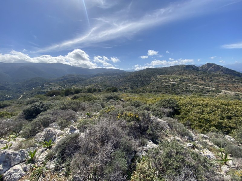 Property 25