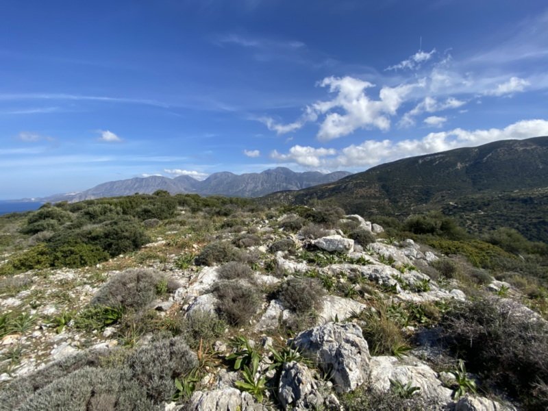 Property 26