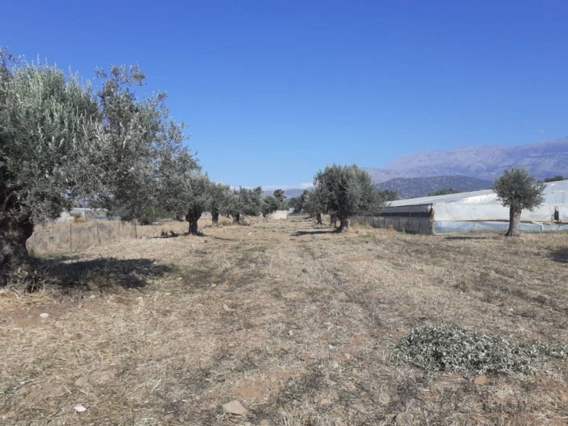 Property 4