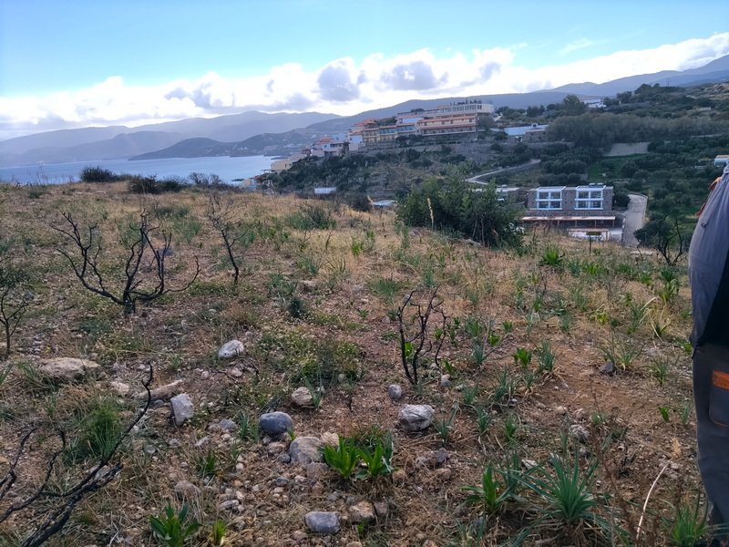 Propiedad 20