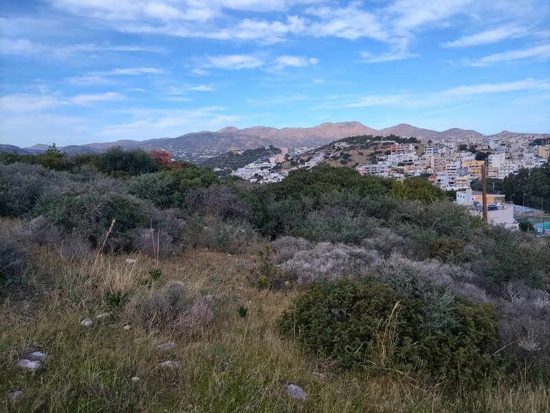 Propiedad 8