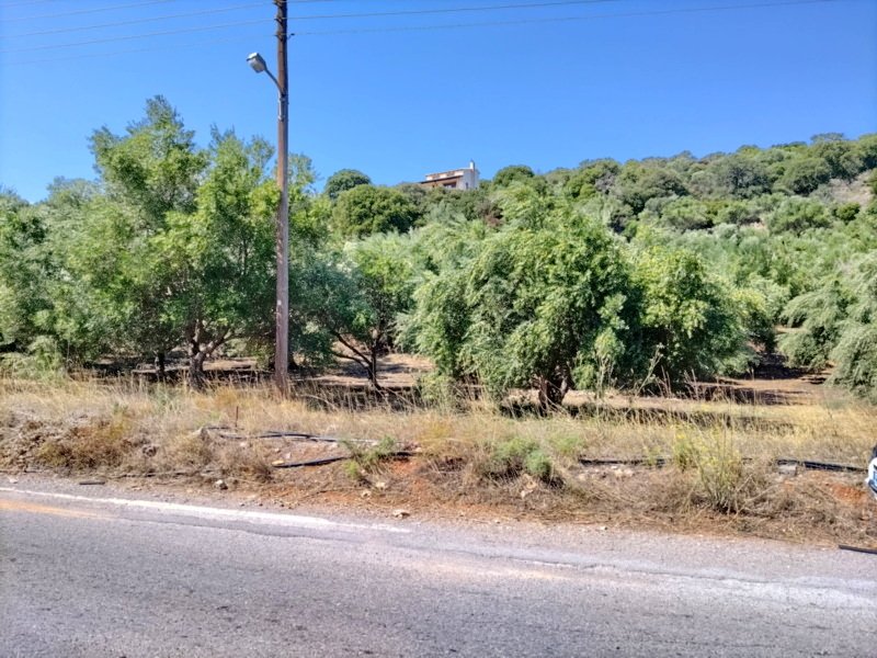 Property 4