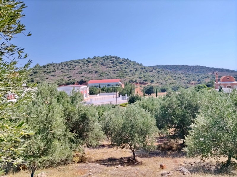 Property 5