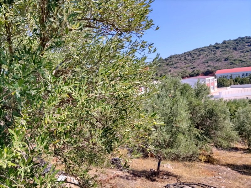 Property 6