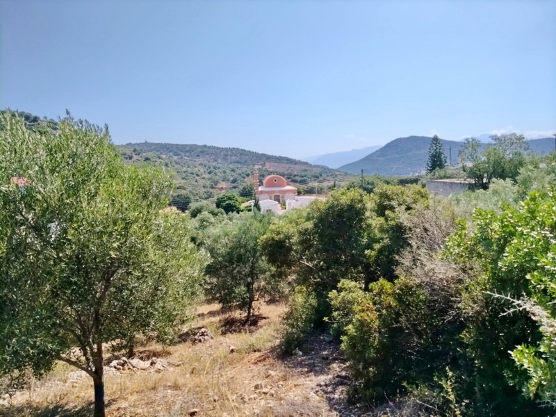 Property 8