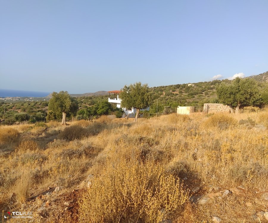 Property 4