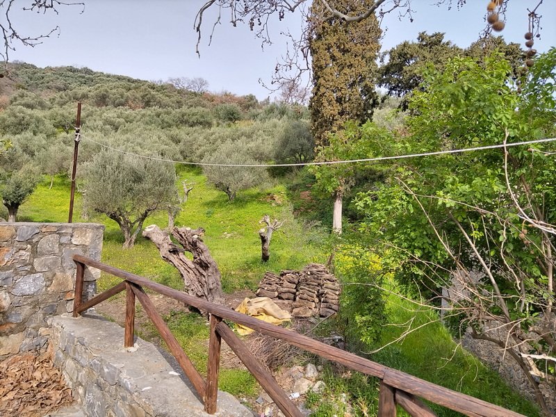 Property 22