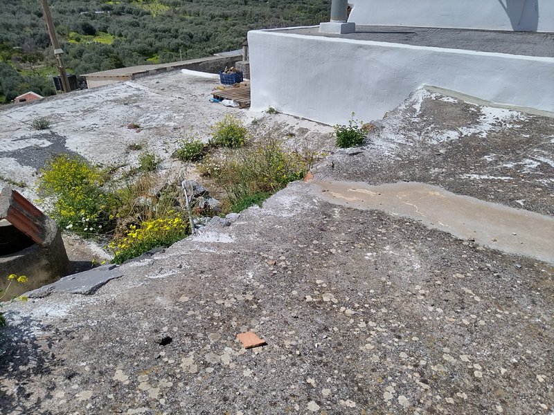 Property 24